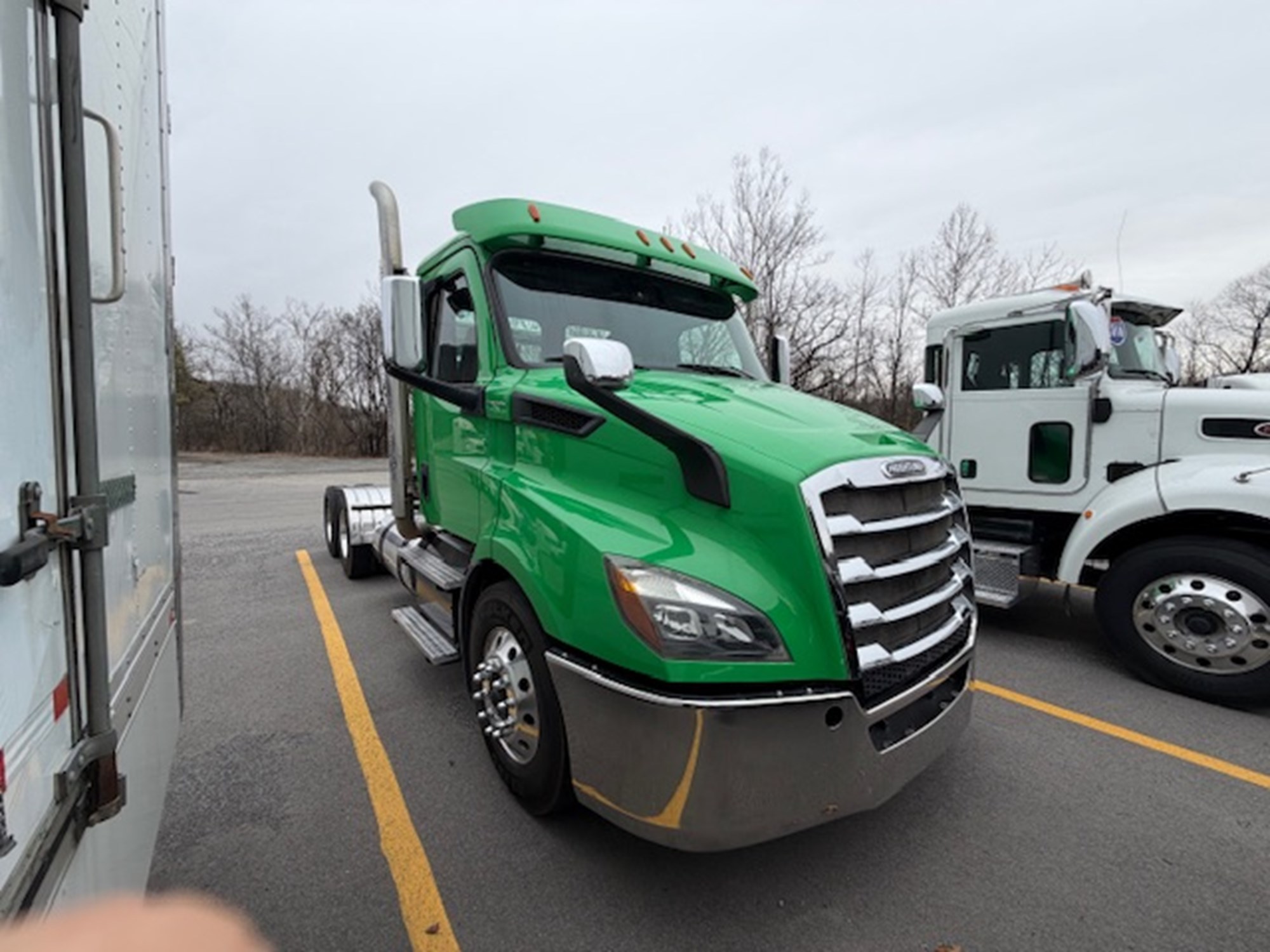 2019 Freightliner Cascadia 116 1767622026028 2019 Freightliner Cascadia 116 1767622026028