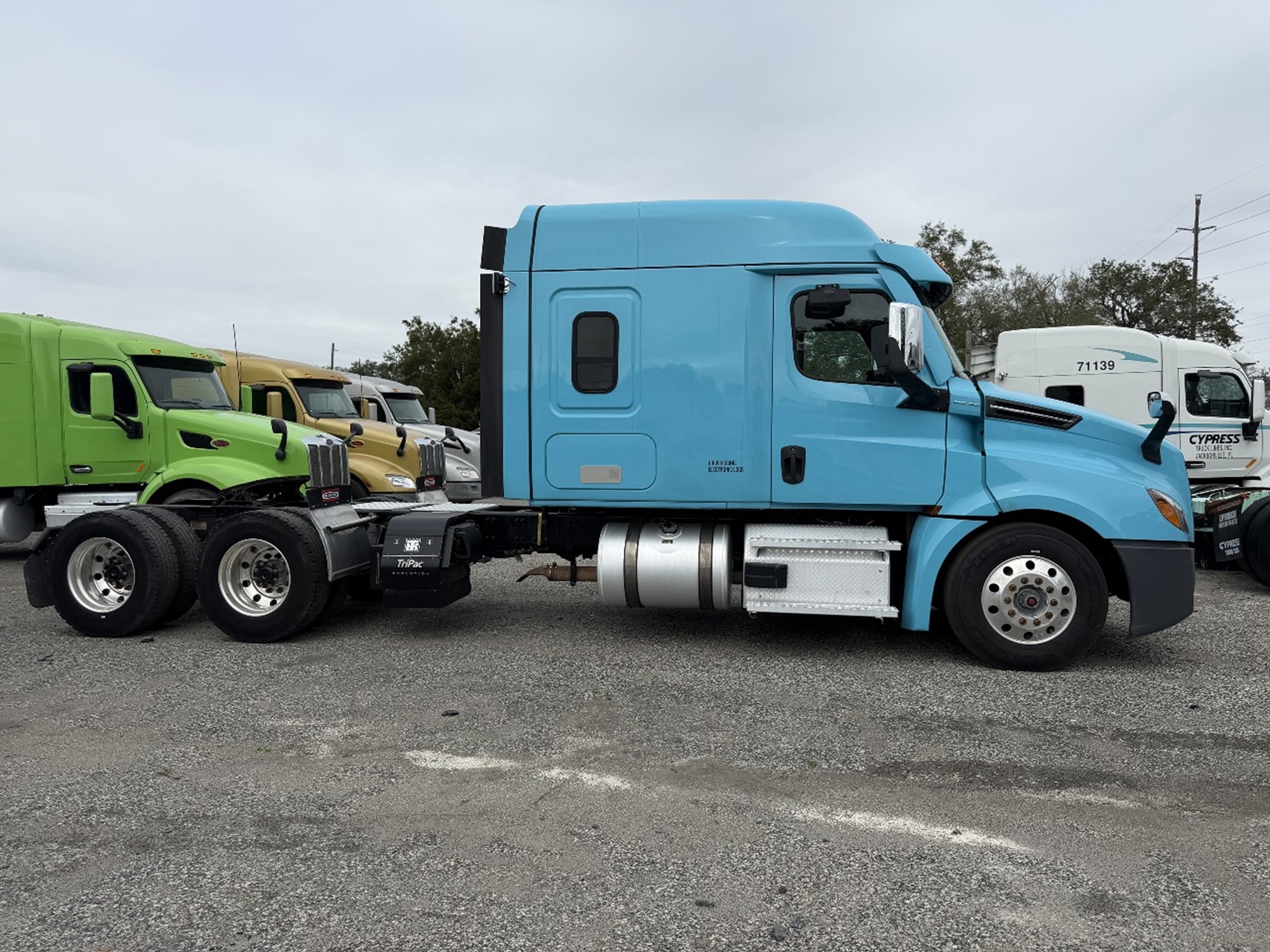 2020 Freightliner Cascadia 126 1768836853732 2020 Freightliner Cascadia 126 1768836853732