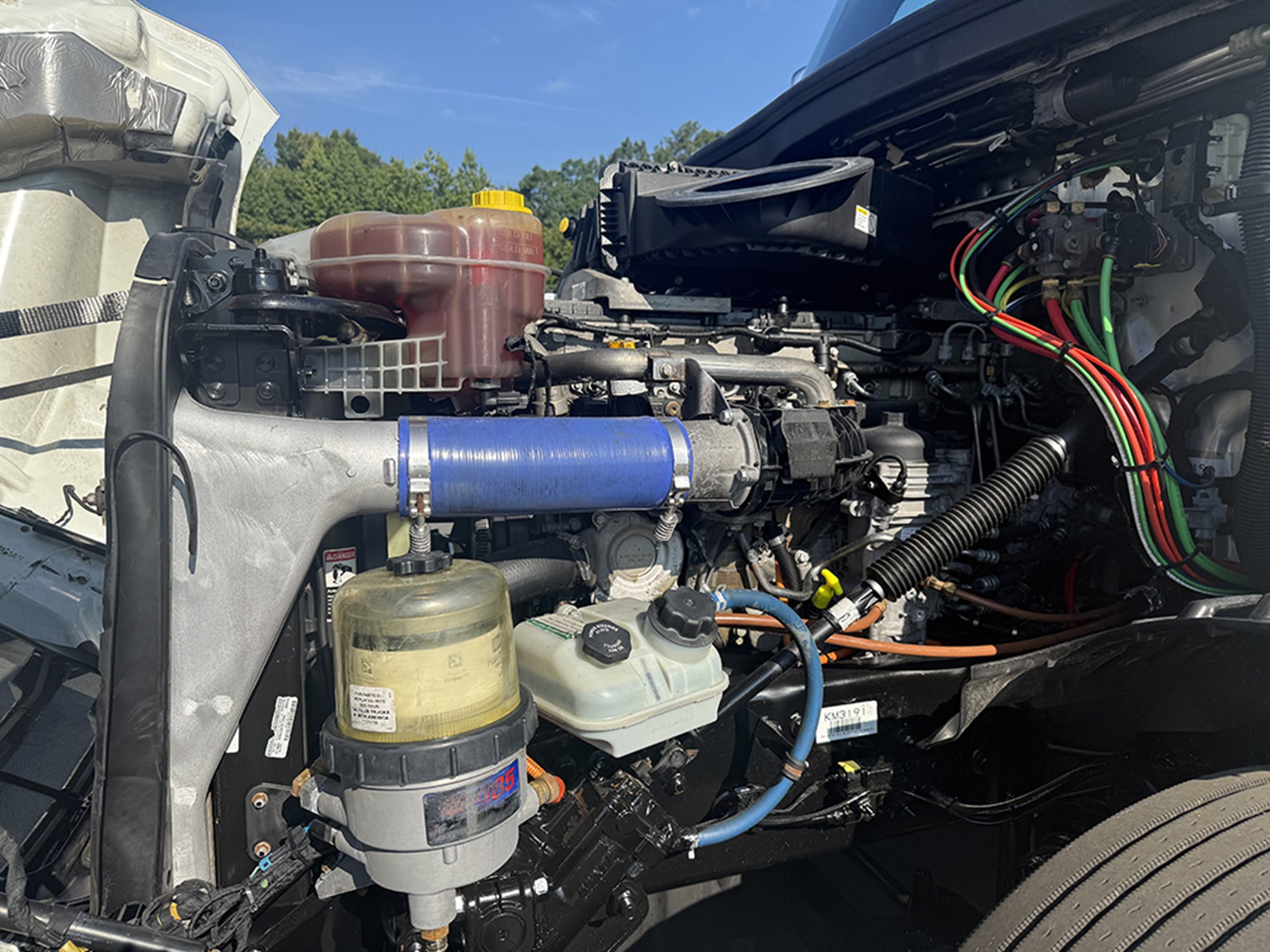 2020 Freightliner Cascadia 126 1787148649065 2020 Freightliner Cascadia 126 1787148649065