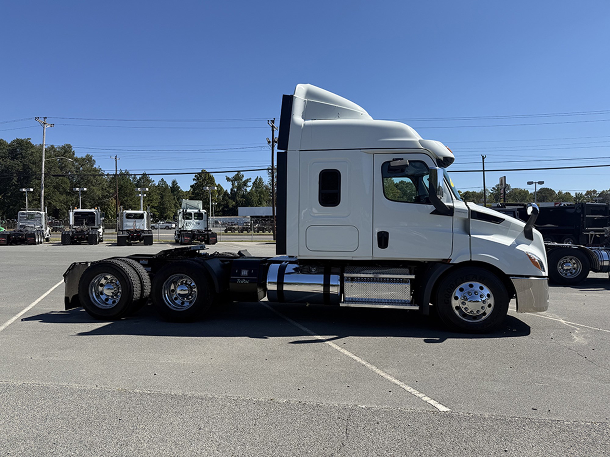 2020 Freightliner Cascadia 116 2020 Freightliner Cascadia 116 - image 3 of 6
