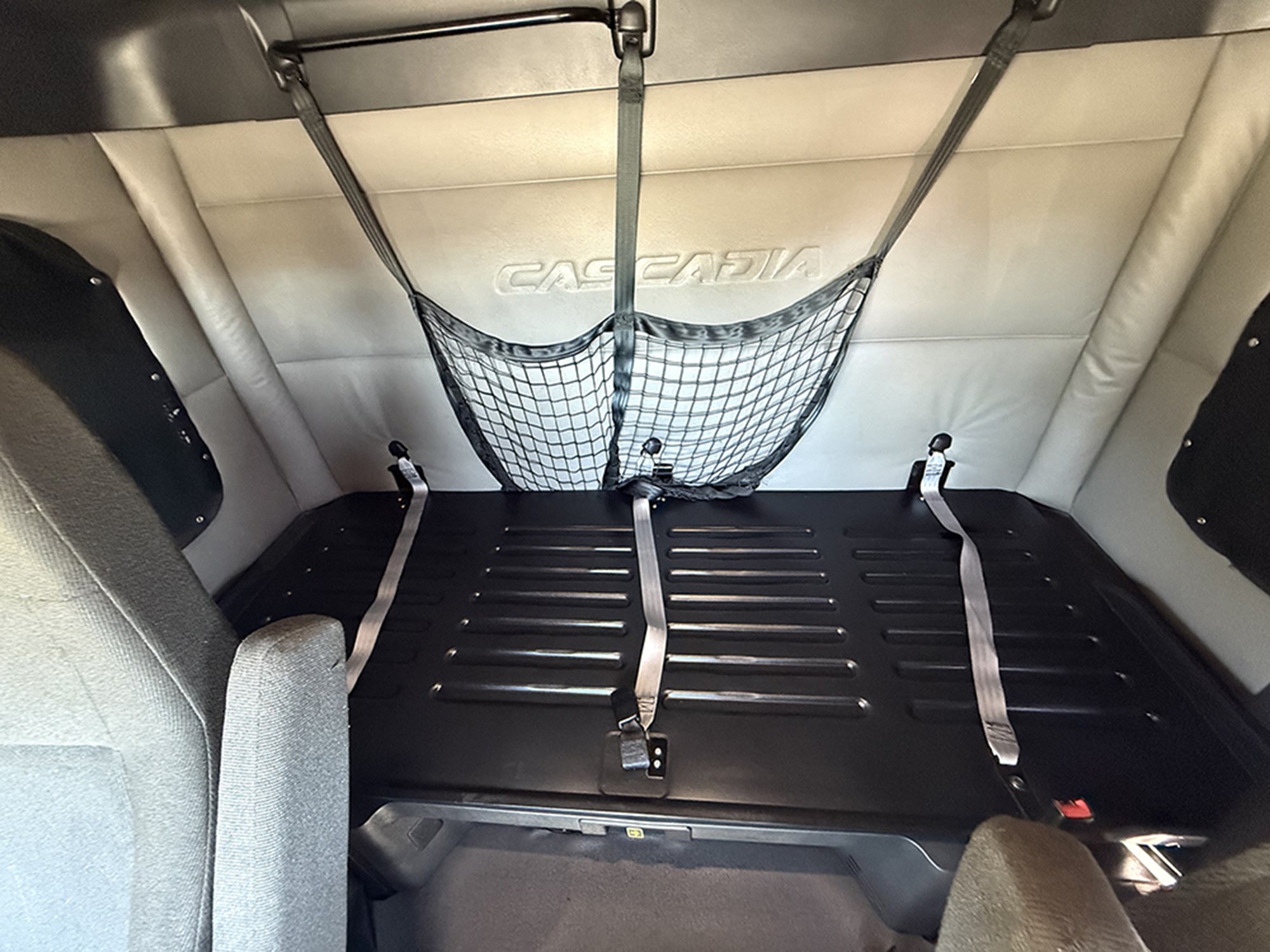 2020 Freightliner Cascadia 116 1791395499292 2020 Freightliner Cascadia 116 1791395499292